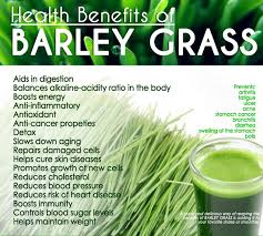 barley grass powder pills barley grass in kenya barley drink barley green aim barley grass powder how to use barley grass powder cancer barley grass benefits barley gras detox barley grass weight loss how to use barley grass powder for weight loss best time to drink barley grass Nairobi Kenya daresalaam tanzania juba south sudan Khartoum sudan Kigali Rwanda kampala Uganda bunjumbura Burundi kinshasaDRC ginkgo biloba Maputo Mozambique accra Ghana Dakar Senegal Lusaka Zambia Monrovia angola jibouti asmara Eritrea tunis Tunisia rabat morocco cairo Egypt Harare zimbambwe barley green grass Mauritius Seychelles Pretoria south Africa ginkgo barley grass lagos Nigeria barley products shop capeverde eguitorial guinea mogadishu Somalia adisababa Ethiopia togo Liberia sierraleone barley green grass shop africa +254723408602