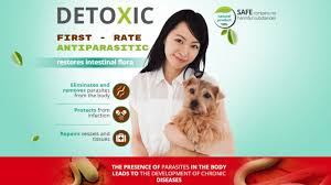 original detoxic pills in kenya detoxic reviews detoxic side effects detoxic dosage detoxic ingredients detoxic forum detoxic pills price detoxic testimonials where to buy detoxic in kenya detoxic official website and contacts Nairobi Kenya daresalaam tanzania juba south sudan Khartoum sudan Kigali Rwanda kampala Uganda bunjumbura Burundi kinshasaDRC detoxic pills Maputo Mozambique accra Ghana Dakar Senegal Lusaka Zambia Monrovia angola jibouti asmara Eritrea tunis Tunisia rabat morocco cairo Egypt Harare zimbambwe diaremedium Mauritius Seychelles Pretoria south Africa diaremedium shop lagos Nigeria detox and body cleansing products shop capeverde eguitorial guinea mogadishu Somalia adisababa Ethiopia togo Liberia sierraleone detoxic products shop africa +254723408602