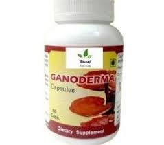 Ganoderma Lucidum Pills price in kenya where to buy Ganoderma Lucidum Pills reviews Ganoderma Lucidum Pills side effects Ganoderma Lucidum Pills ingredients Ganoderma Lucidum Pills dosage Ganoderma Lucidum Pills before and after photos Nairobi Kenya daresalaam tanzania juba south sudan Khartoum sudan Kigali Rwanda kampala Uganda bunjumbura Burundi kinshasaDRC Ganoderma Lucidum Pills Maputo Mozambique accra Ghana Dakar Senegal Lusaka Zambia Monrovia angola jibouti asmara Eritrea tunis Tunisia rabat morocco cairo Egypt Harare zimbambwe Ganoderma Lucidum Pills Mauritius Seychelles Pretoria south Ganoderma Lucidum Pills lagos Nigeria Ganoderma Lucidum Pills shop capeverde eguitorial guinea mogadishu Somalia adisababa Ethiopia togo Liberia sierraleone Ganoderma Lucidum Pills africa +254723408602