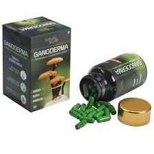 Ganoderma Lucidum Pills price in kenya where to buy Ganoderma Lucidum Pills reviews Ganoderma Lucidum Pills side effects Ganoderma Lucidum Pills ingredients Ganoderma Lucidum Pills dosage Ganoderma Lucidum Pills before and after photos Nairobi Kenya daresalaam tanzania juba south sudan Khartoum sudan Kigali Rwanda kampala Uganda bunjumbura Burundi kinshasaDRC Ganoderma Lucidum Pills Maputo Mozambique accra Ghana Dakar Senegal Lusaka Zambia Monrovia angola jibouti asmara Eritrea tunis Tunisia rabat morocco cairo Egypt Harare zimbambwe Ganoderma Lucidum Pills Mauritius Seychelles Pretoria south Ganoderma Lucidum Pills lagos Nigeria Ganoderma Lucidum Pills shop capeverde eguitorial guinea mogadishu Somalia adisababa Ethiopia togo Liberia sierraleone Ganoderma Lucidum Pills africa +254723408602