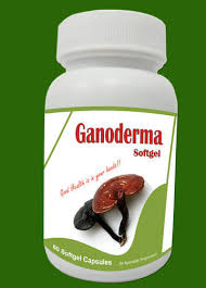Ganoderma Lucidum Pills price in kenya where to buy Ganoderma Lucidum Pills reviews Ganoderma Lucidum Pills side effects Ganoderma Lucidum Pills ingredients Ganoderma Lucidum Pills dosage Ganoderma Lucidum Pills before and after photos Nairobi Kenya daresalaam tanzania juba south sudan Khartoum sudan Kigali Rwanda kampala Uganda bunjumbura Burundi kinshasaDRC Ganoderma Lucidum Pills Maputo Mozambique accra Ghana Dakar Senegal Lusaka Zambia Monrovia angola jibouti asmara Eritrea tunis Tunisia rabat morocco cairo Egypt Harare zimbambwe Ganoderma Lucidum Pills Mauritius Seychelles Pretoria south Ganoderma Lucidum Pills lagos Nigeria Ganoderma Lucidum Pills shop capeverde eguitorial guinea mogadishu Somalia adisababa Ethiopia togo Liberia sierraleone Ganoderma Lucidum Pills africa +254723408602