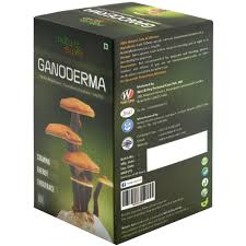 Ganoderma Lucidum Pills price in kenya where to buy Ganoderma Lucidum Pills reviews Ganoderma Lucidum Pills side effects Ganoderma Lucidum Pills ingredients Ganoderma Lucidum Pills dosage Ganoderma Lucidum Pills before and after photos Nairobi Kenya daresalaam tanzania juba south sudan Khartoum sudan Kigali Rwanda kampala Uganda bunjumbura Burundi kinshasaDRC Ganoderma Lucidum Pills Maputo Mozambique accra Ghana Dakar Senegal Lusaka Zambia Monrovia angola jibouti asmara Eritrea tunis Tunisia rabat morocco cairo Egypt Harare zimbambwe Ganoderma Lucidum Pills Mauritius Seychelles Pretoria south Ganoderma Lucidum Pills lagos Nigeria Ganoderma Lucidum Pills shop capeverde eguitorial guinea mogadishu Somalia adisababa Ethiopia togo Liberia sierraleone Ganoderma Lucidum Pills africa +254723408602