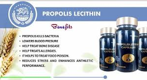 diabetes control supplements for sale in kenya, insulinol kenya, diabextan, insumed capsules, detonic powder in kenya, diaboost capsules, glucopro