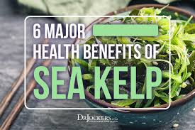 Where To Buy Parasi Cleaner, Power Health Kelp Tablets