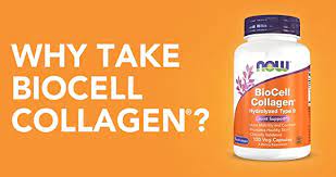  Express Fat Burner dosage, Express Fat Burner in kenya, BioCell Collagen Veg Capsules, Express Fat Burner pills ingredients, Express Fat Burner pills price, Express Fat Burner weight management pills